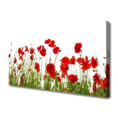 Foto op canvas Klaprozen bloemen nature plant