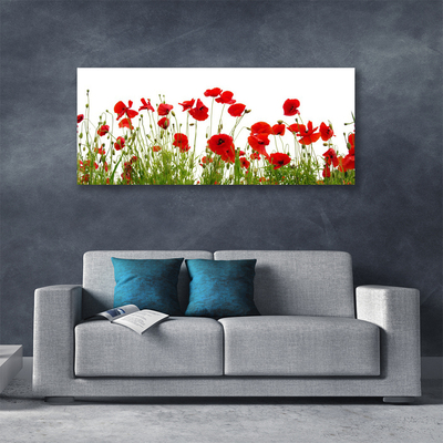 Foto op canvas Klaprozen bloemen nature plant