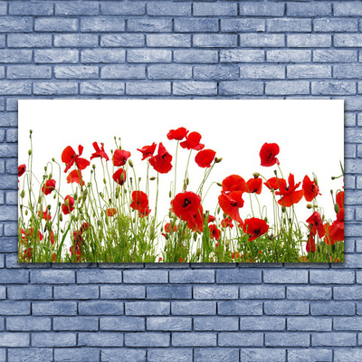 Foto op canvas Klaprozen bloemen nature plant