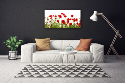 Foto op canvas Klaprozen bloemen nature plant