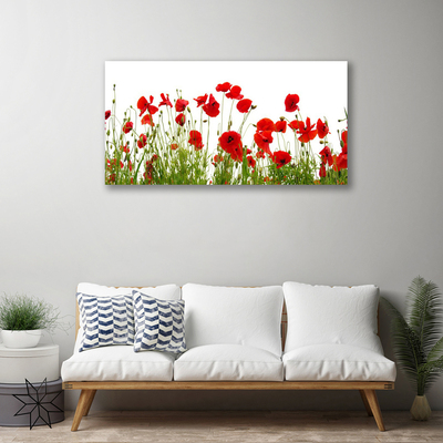 Foto op canvas Klaprozen bloemen nature plant