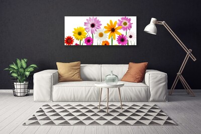 Foto op canvas Gekleurde bloemen nature