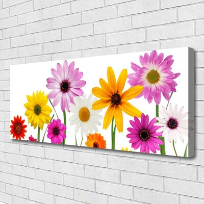 Foto op canvas Gekleurde bloemen nature