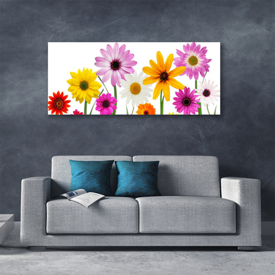 Foto op canvas Gekleurde bloemen nature