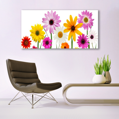 Foto op canvas Gekleurde bloemen nature