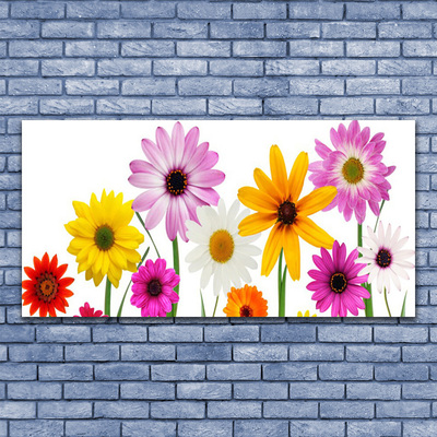 Foto op canvas Gekleurde bloemen nature