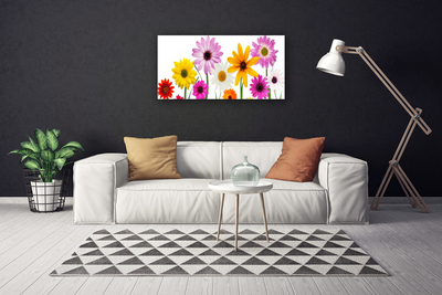 Foto op canvas Gekleurde bloemen nature