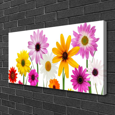 Foto op canvas Gekleurde bloemen nature