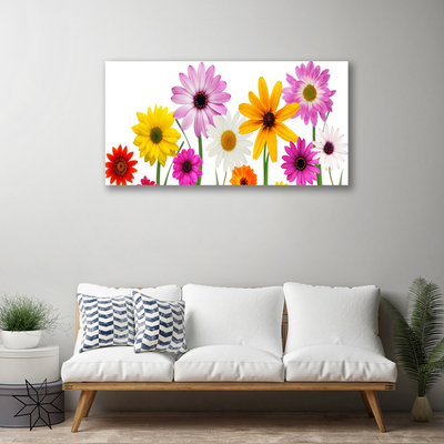 Foto op canvas Gekleurde bloemen nature