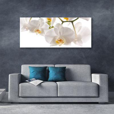 Foto op canvas Orchideebloemen nature