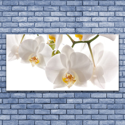 Foto op canvas Orchideebloemen nature