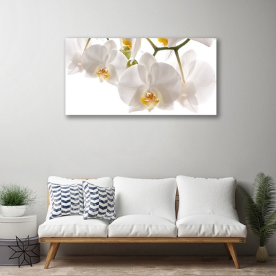 Foto op canvas Orchideebloemen nature