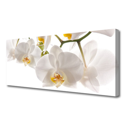 Foto op canvas Orchideebloemen nature