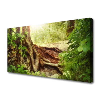 Foto op canvas Boomstam forest nature