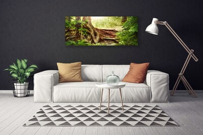 Foto op canvas Boomstam forest nature