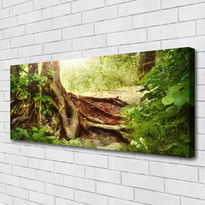 Foto op canvas Boomstam forest nature