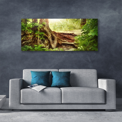 Foto op canvas Boomstam forest nature