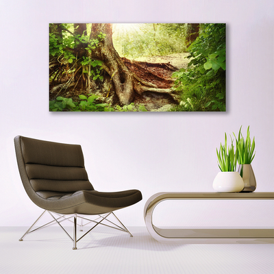 Foto op canvas Boomstam forest nature