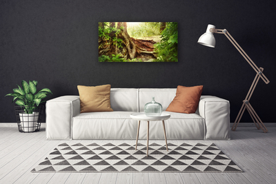 Foto op canvas Boomstam forest nature