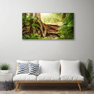 Foto op canvas Boomstam forest nature