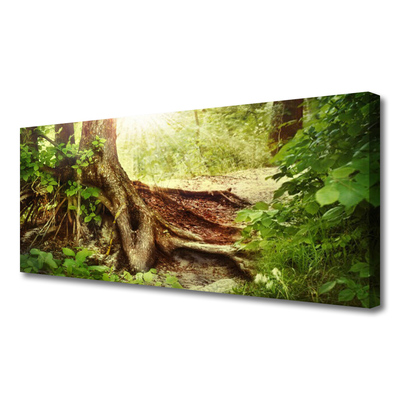 Foto op canvas Boomstam forest nature