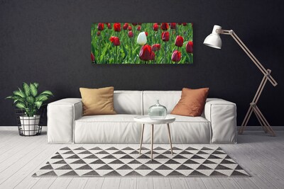 Foto op canvas Tulpen bloemen nature