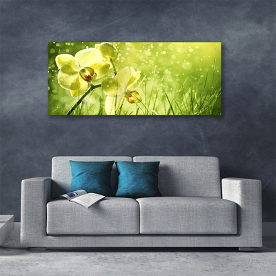 Foto op canvas Grass nature plant