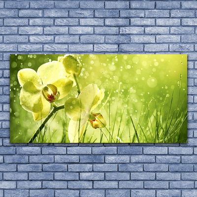 Foto op canvas Grass nature plant