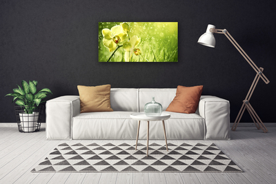 Foto op canvas Grass nature plant