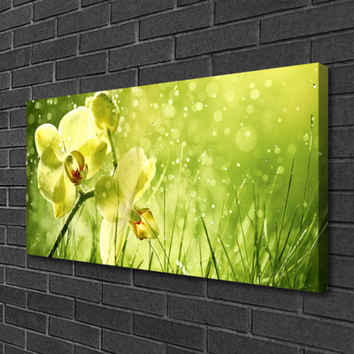 Foto op canvas Grass nature plant