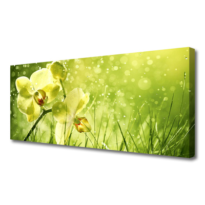 Foto op canvas Grass nature plant