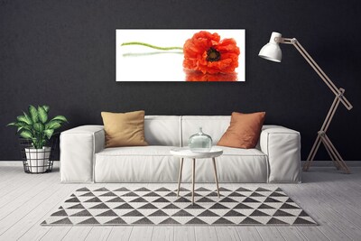 Foto op canvas Bloemen nature nature