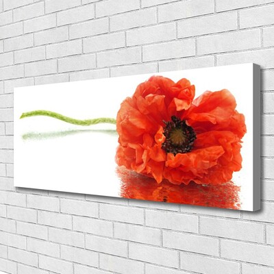 Foto op canvas Bloemen nature nature