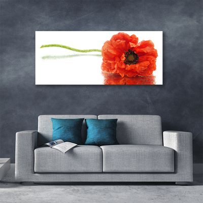 Foto op canvas Bloemen nature nature