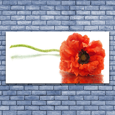 Foto op canvas Bloemen nature nature