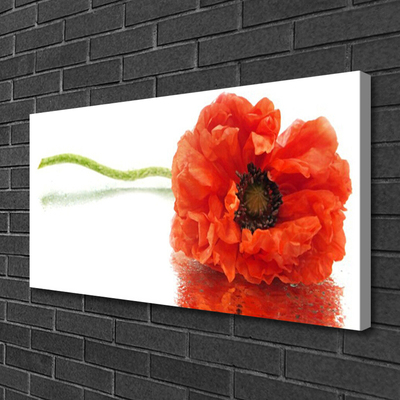 Foto op canvas Bloemen nature nature