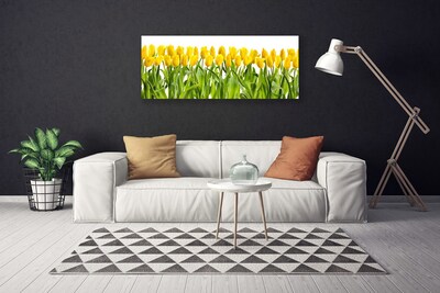 Foto op canvas Tulpen bloemen nature