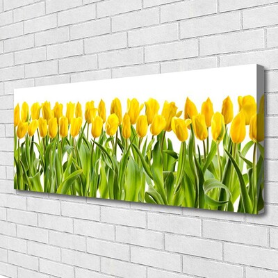 Foto op canvas Tulpen bloemen nature