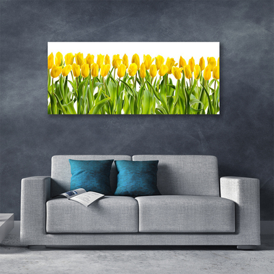 Foto op canvas Tulpen bloemen nature