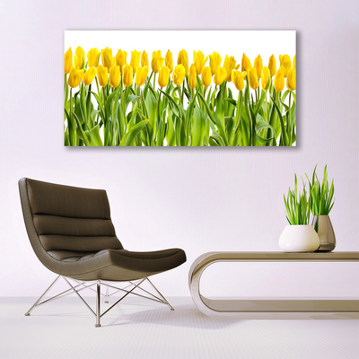 Foto op canvas Tulpen bloemen nature