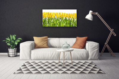 Foto op canvas Tulpen bloemen nature