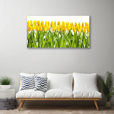 Foto op canvas Tulpen bloemen nature