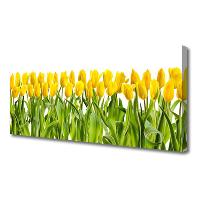 Foto op canvas Tulpen bloemen nature