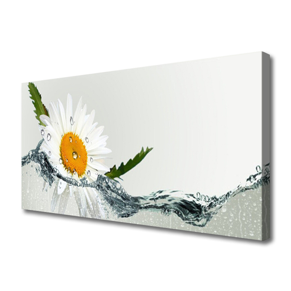 Foto op canvas Daisy waterplant