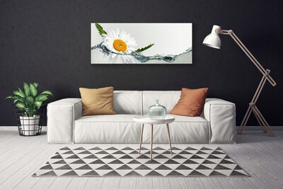 Foto op canvas Daisy waterplant