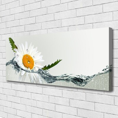 Foto op canvas Daisy waterplant