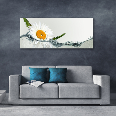 Foto op canvas Daisy waterplant