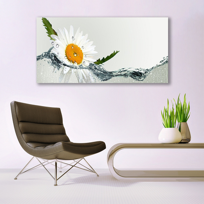 Foto op canvas Daisy waterplant