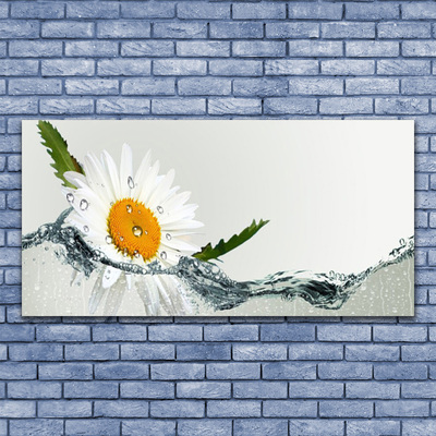 Foto op canvas Daisy waterplant