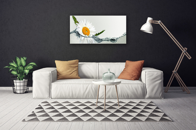 Foto op canvas Daisy waterplant